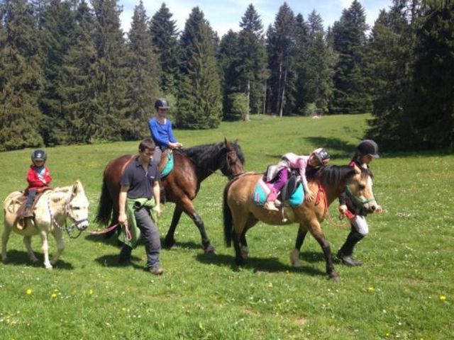 Pferd und ReiterIn (BE)