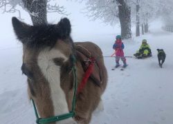 reiten-jura-winter
