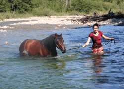 Horseathlon-Freiburg