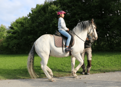 Horseathlon-Freiburg