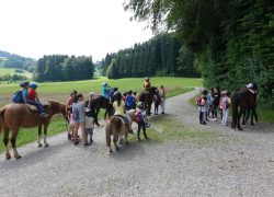Ponyschur-Schönau