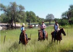 reiten-aargau