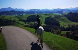 reiten-appenzell