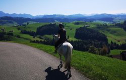 reiten-appenzell