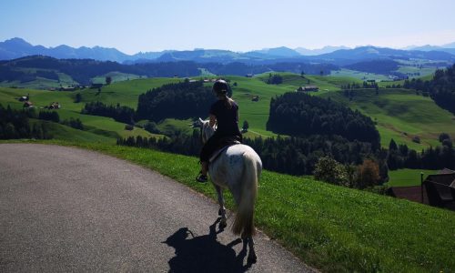 reiten-appenzell