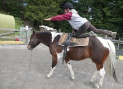 reiten-appenzell