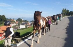 reiten_appenzell