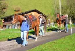 ausreiten-bern