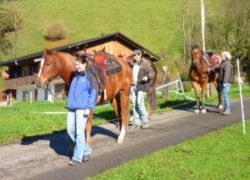 ausreiten-bern