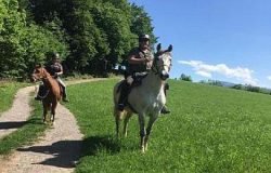 ausreiten-st.gallen