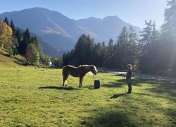 ausreiten-wallis