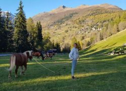 ausreiten-wallis