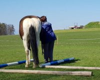 reiten-bern