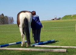 reiten-bern