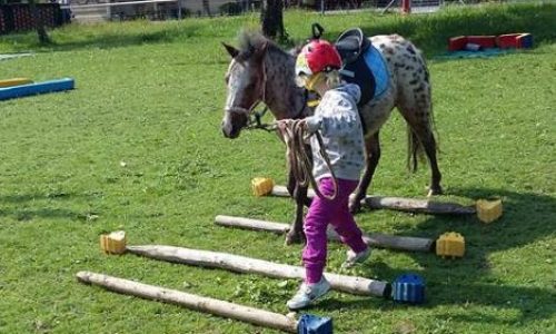 erlebnishof-bern