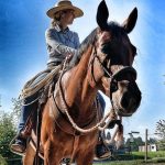 horsemanship-aargau