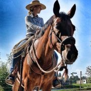 horsemanship-aargau