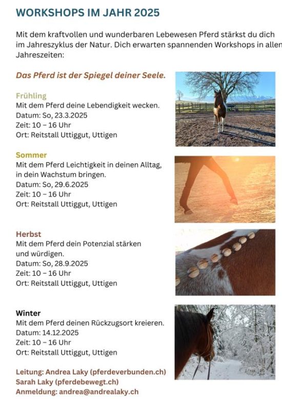 flyer-2