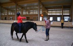 reiten-st.gallen