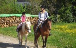 Pferde helfen Menschen (Aargau)