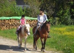 Pferde helfen Menschen (Aargau)