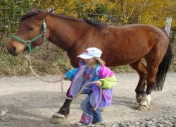 heilpädagogisches reiten-aargau