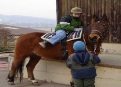 heilpädagogisches reiten-aargau