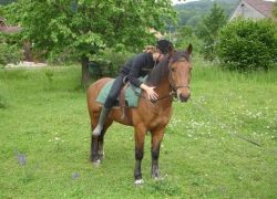 heilpädagogisches reiten