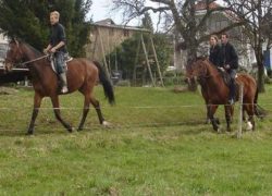 heilpädagogisches reiten-aargau