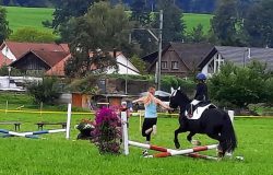 hippolini-thurgau
