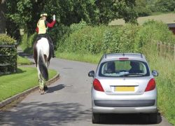 Reitversicherung