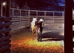 horsemanship-aargau