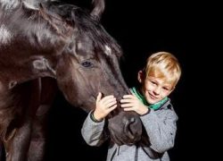 horsemanship-aargau