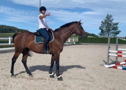 horsemanship-aargau