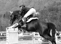 horsemanship-aargau