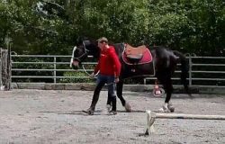 horsemanship-zug
