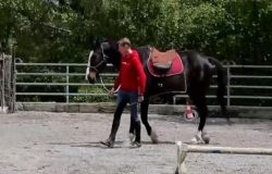 horsemanship-zug-1