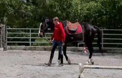 horsemanship-zug-1