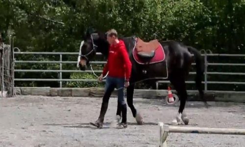 horsemanship-zug-1