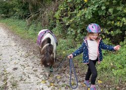 kinderreiten-schaffhausen