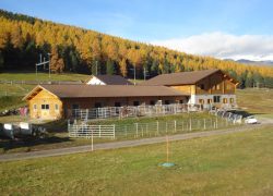 kutschenfahrten-graubünden