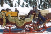 kutschenfahrten-graubünden