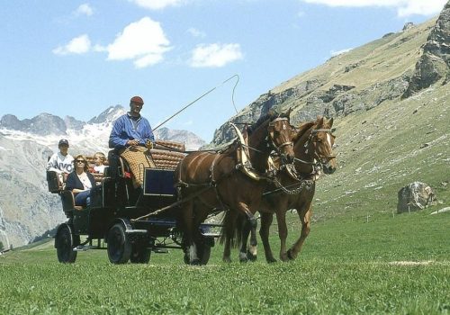 kutschenfahrten-graubünden