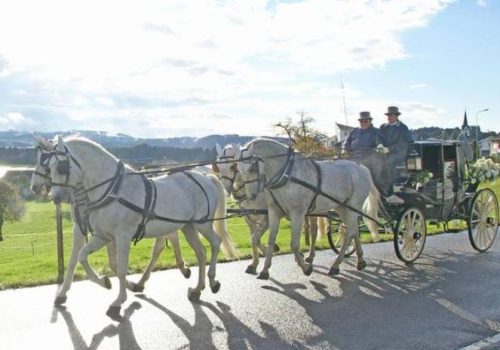 kutschen-sankt-gallen