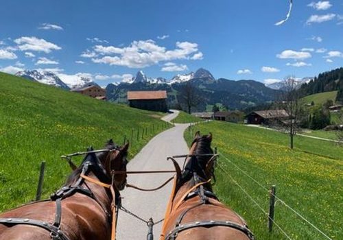 Saanenreiter, 3792 Saanen