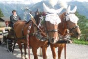kutschenfahrten-glarus-1