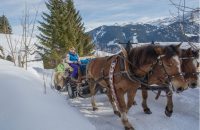 kutschenfahrten-glarus-3