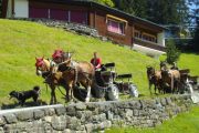 kutschenfahrten-glarus-8