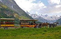 kutschenfahrten-graubünden