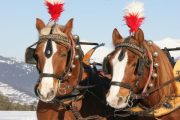kutschenfahrten-graubünden